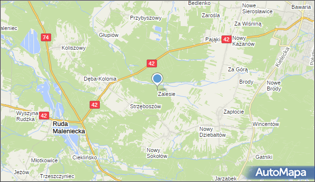 mapa Zalesie, Zalesie gmina Ruda Maleniecka na mapie Targeo